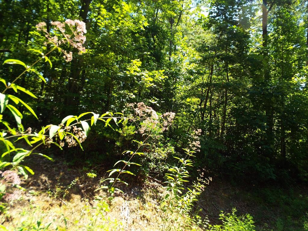 9 Dove View Road Sevierville, TN 37862 - Photo 1 of 11