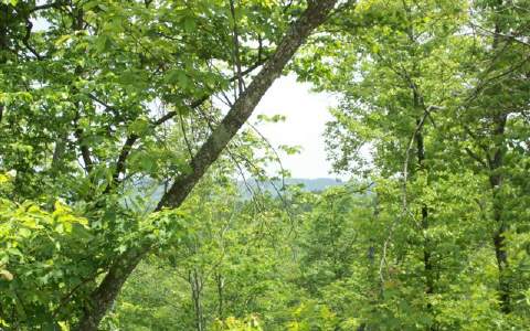L13 Stuart Ridge Road Mineral Bluff, GA 30559 - Photo 1 of 1 Main View