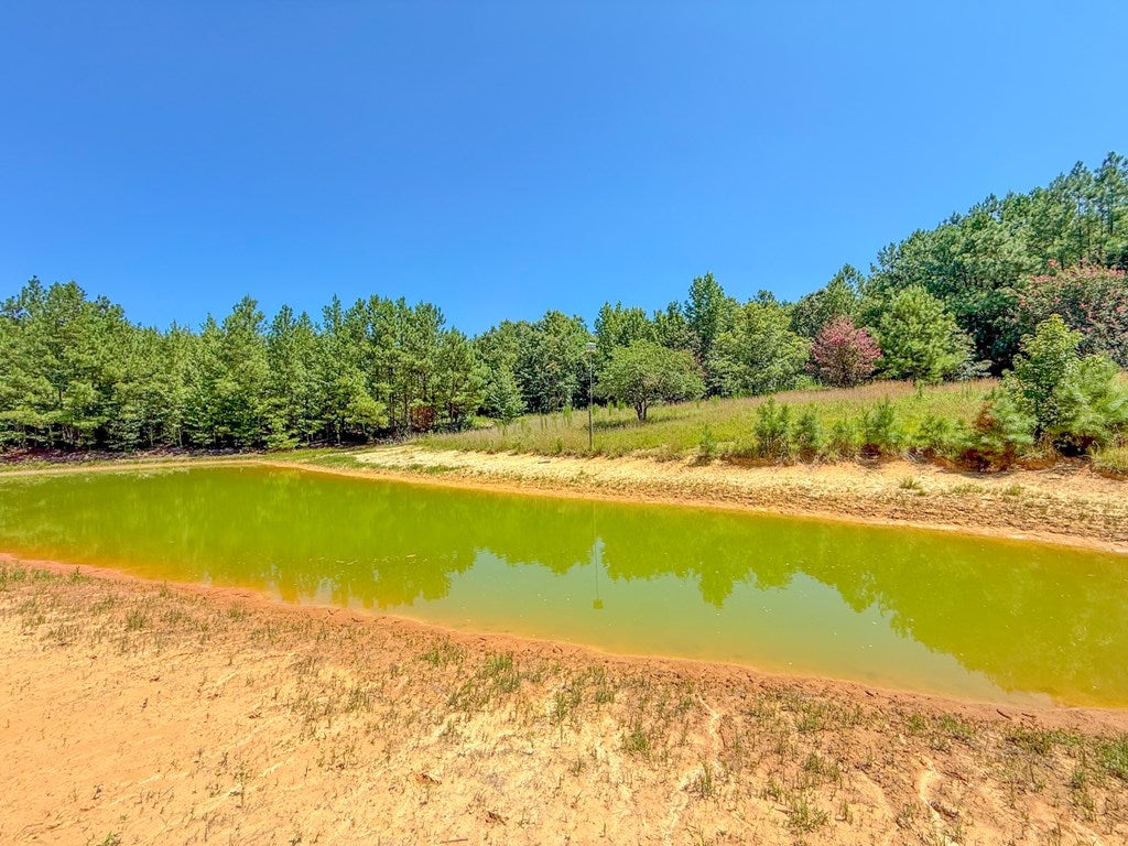 Flat Rock Road Blackstone, VA 23824 - Photo 10 of 11 Gallery Image 10