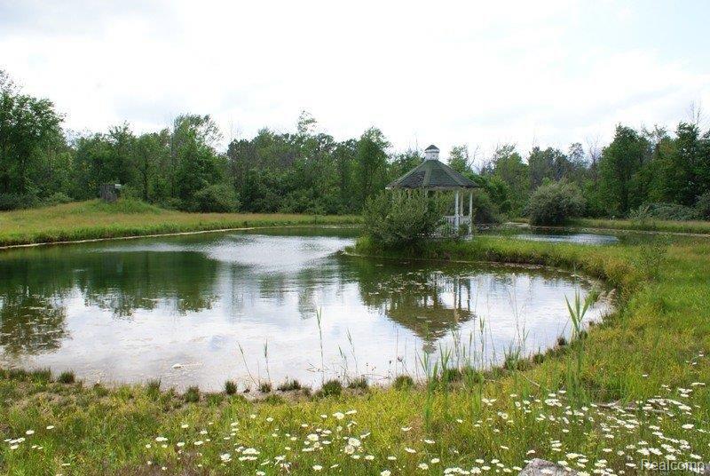 5251 Laur Road North Branch, MI 48461 - Photo 23 of 23 DSC01564.JPG