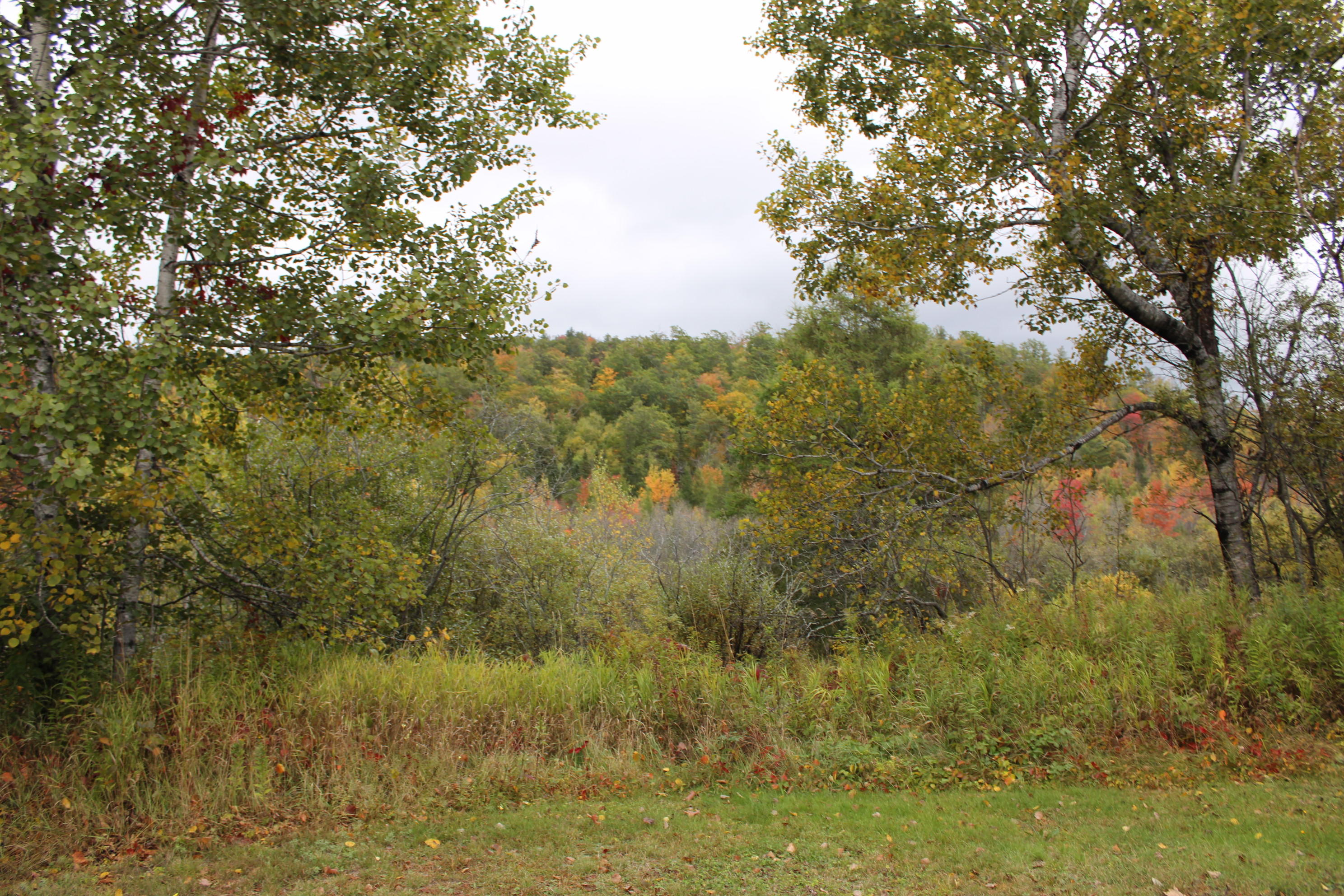 170 Andover Road Rumford, ME 04276 - Photo 11 of 34 IMG_0052