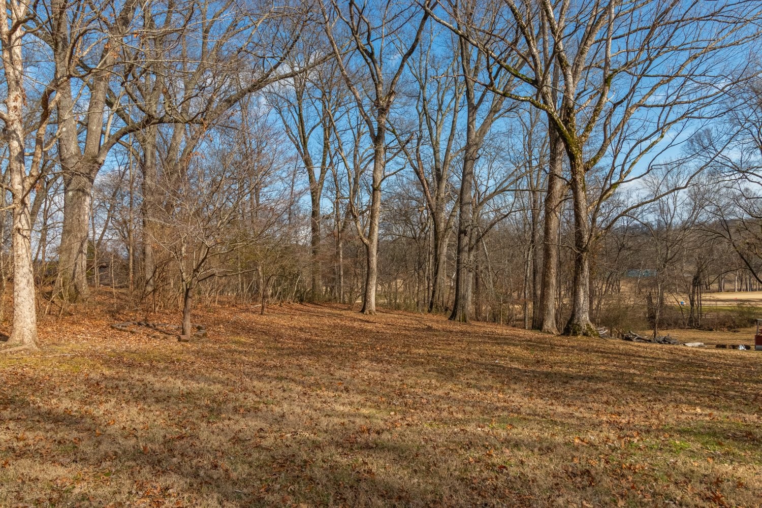 1203 Graymere Manor Road Columbia, TN 38401 - Photo 78 of 90 Gallery Image 78