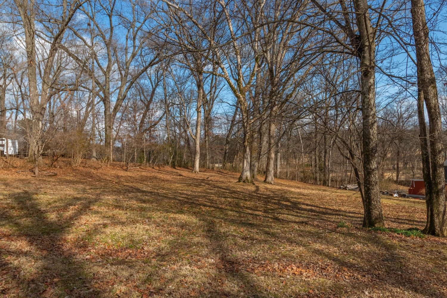 1203 Graymere Manor Road Columbia, TN 38401 - Photo 79 of 90 Gallery Image 79