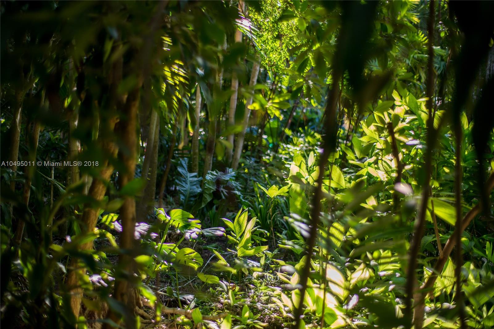 3900 Loquat Avenue Miami, FL 33133 - Photo 33 of 39