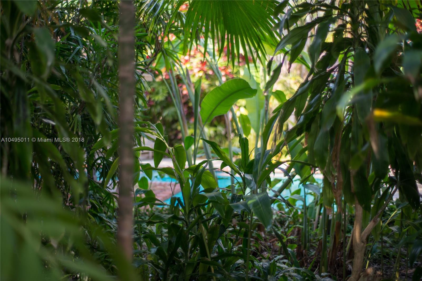 3900 Loquat Avenue Miami, FL 33133 - Photo 34 of 39