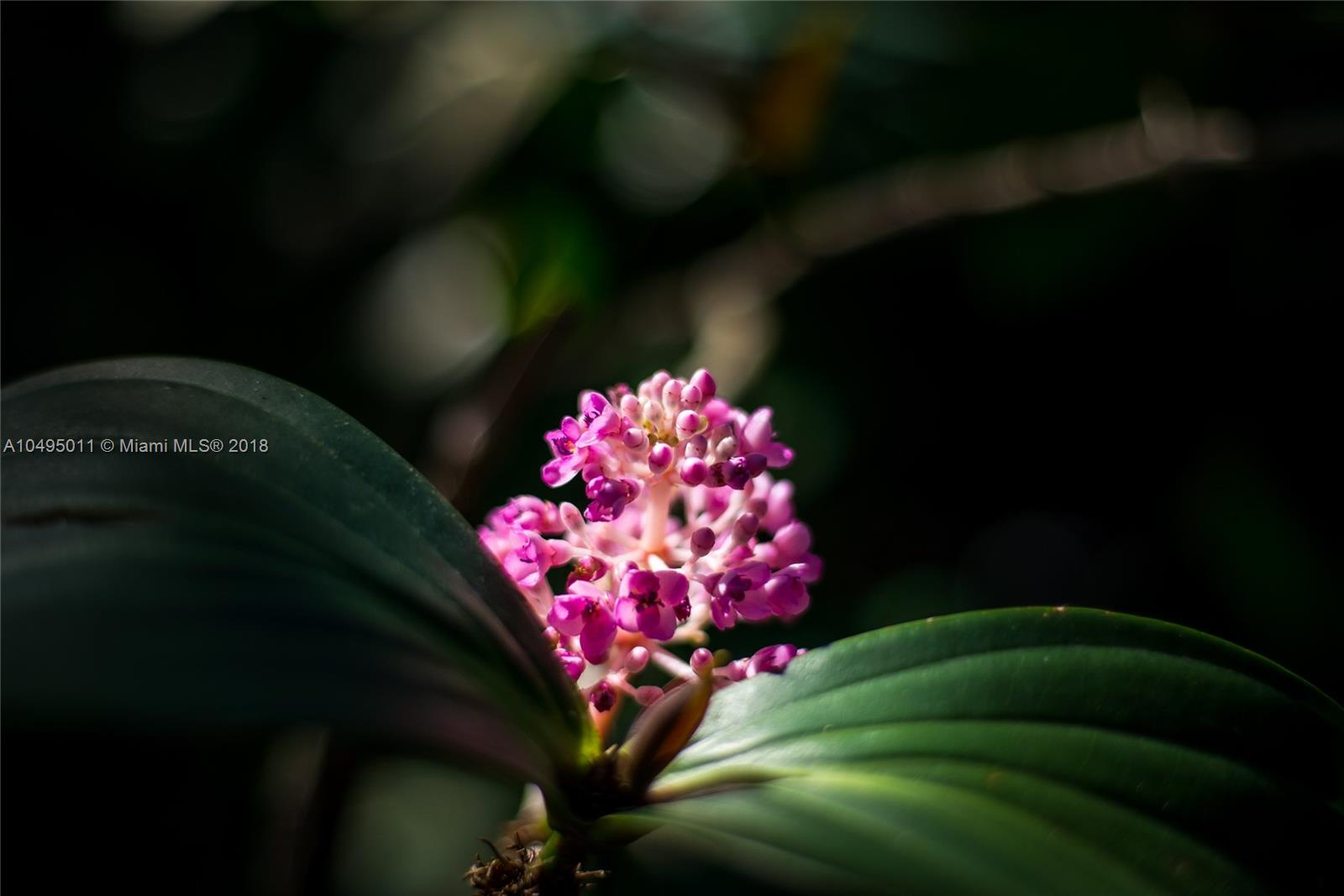 3900 Loquat Avenue Miami, FL 33133 - Photo 35 of 39