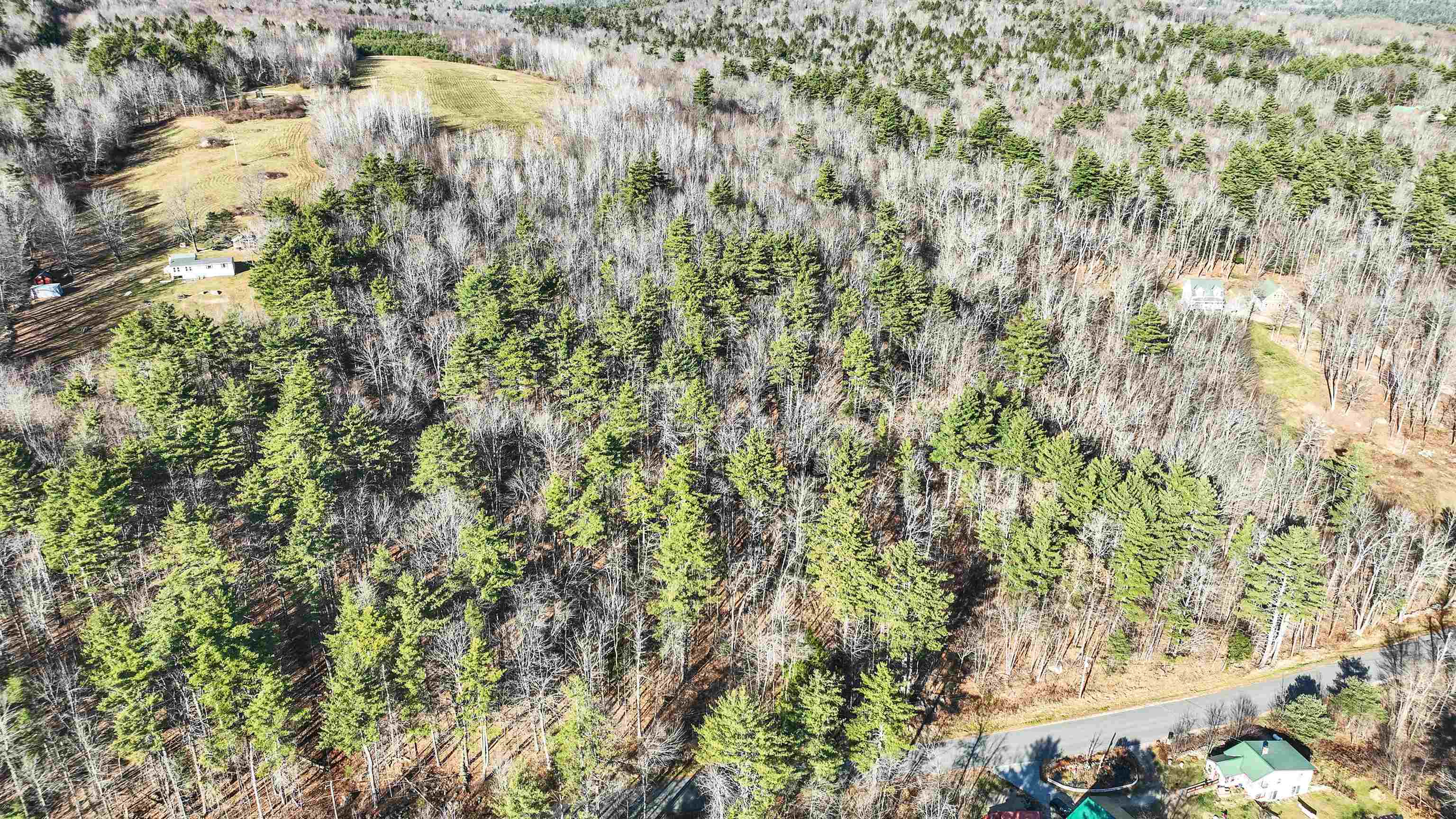 0 Windsor Road Hillsborough, NH 03244 - Photo 8 of 16