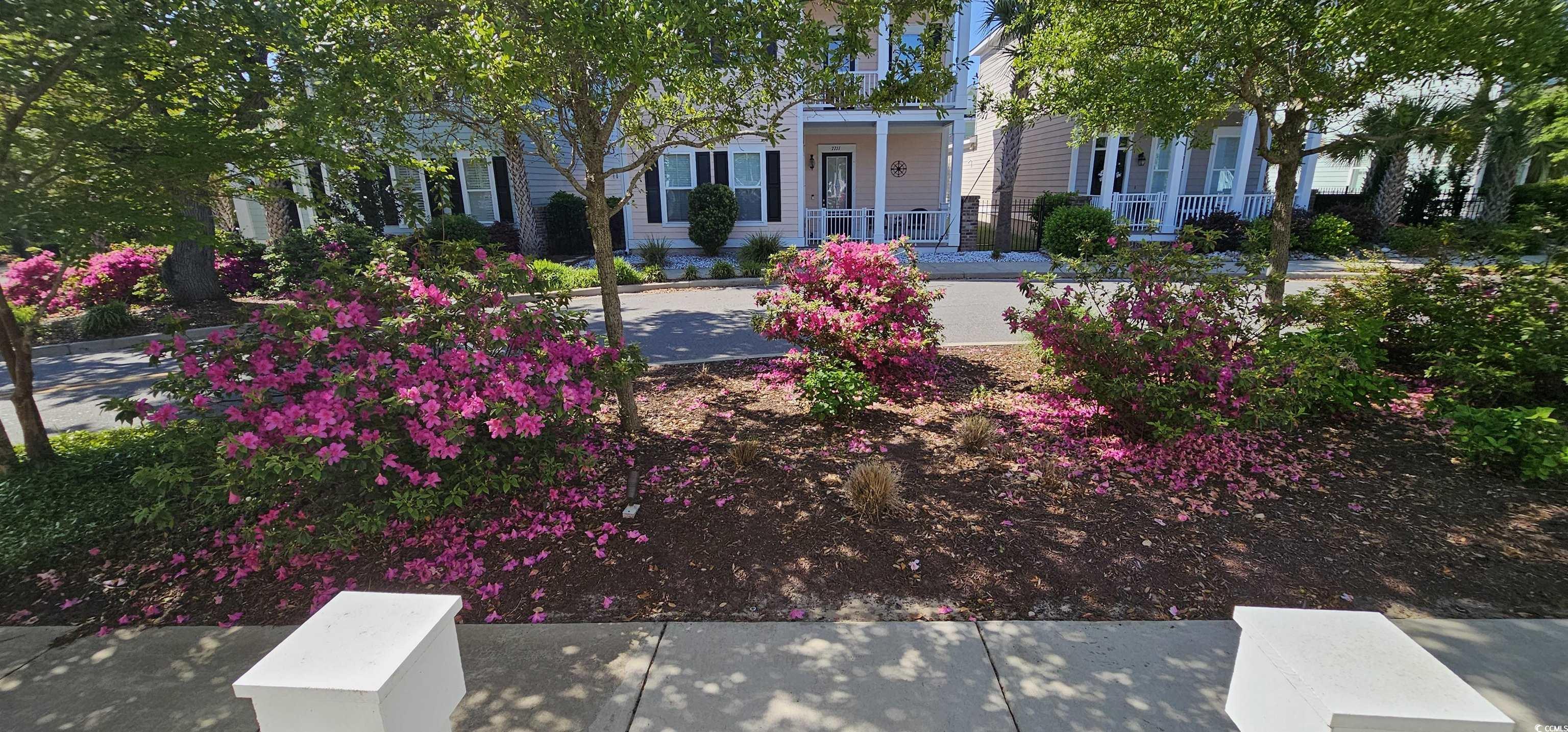 7710 Monarch Drive Myrtle Beach, SC 29572 - Photo 3 of 40 Obstructed view of property featuring a porch