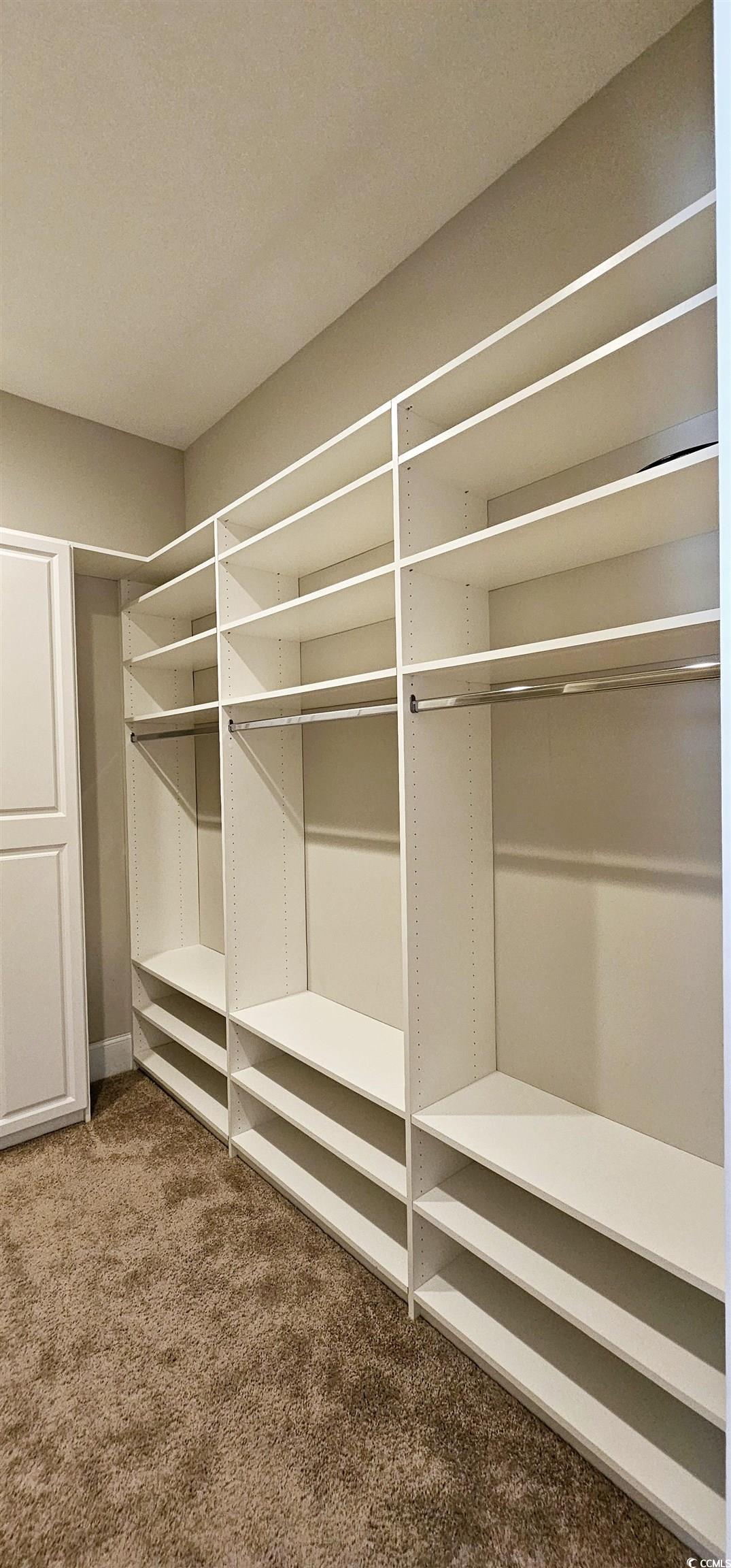 7710 Monarch Drive Myrtle Beach, SC 29572 - Photo 35 of 40 Walk in closet featuring carpet flooring