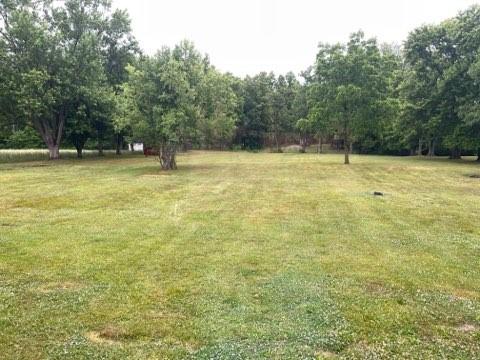 887 Mud Pike Road Smithfield, PA 15478 - Photo 11 of 36 a view of a yard with trees
