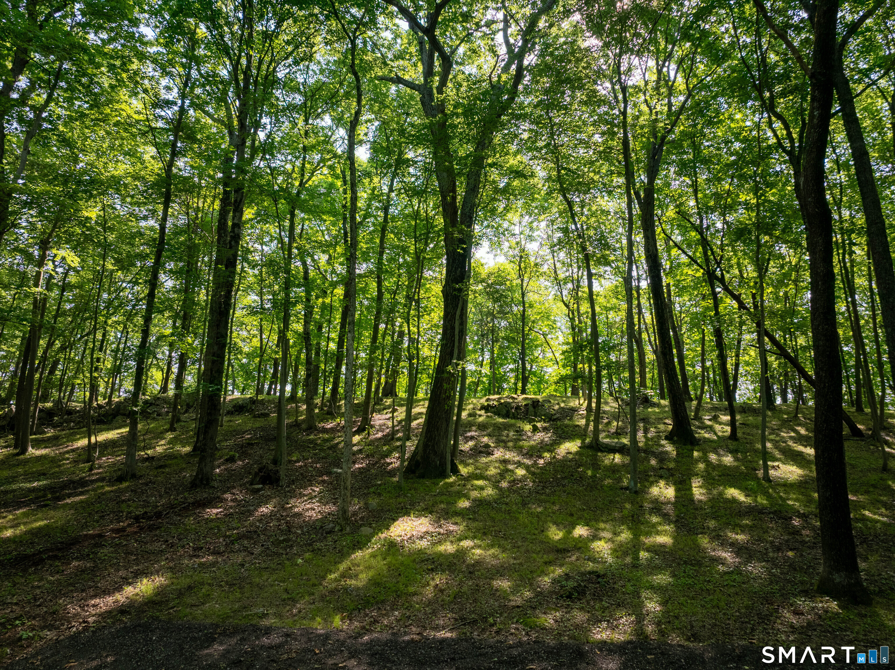 81 Mountain Road Prospect, CT 06712 - Photo 13 of 23