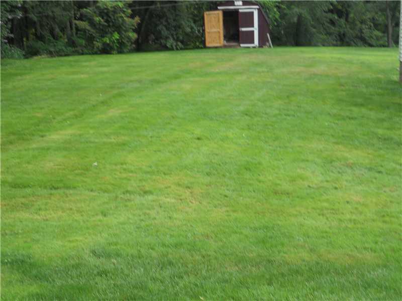 161 Spring Hill Road Aliquippa, PA 15001 - Photo 12 of 12 Yard/Garden. Very usable large level/tiered yard.
