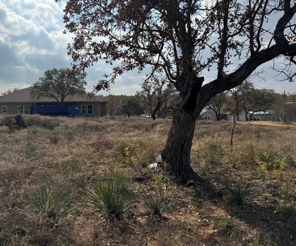 a view of a yard with large trees