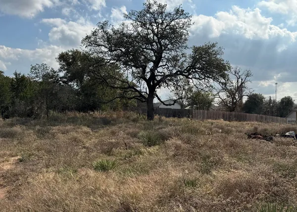 a view of a dry yard with trees