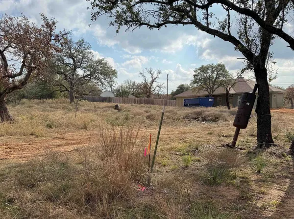 a view of a yard with a tree