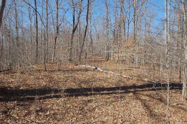 2040 Mandy Ridge Wayland, KY 41666 - Photo 13 of 36 Photo 13