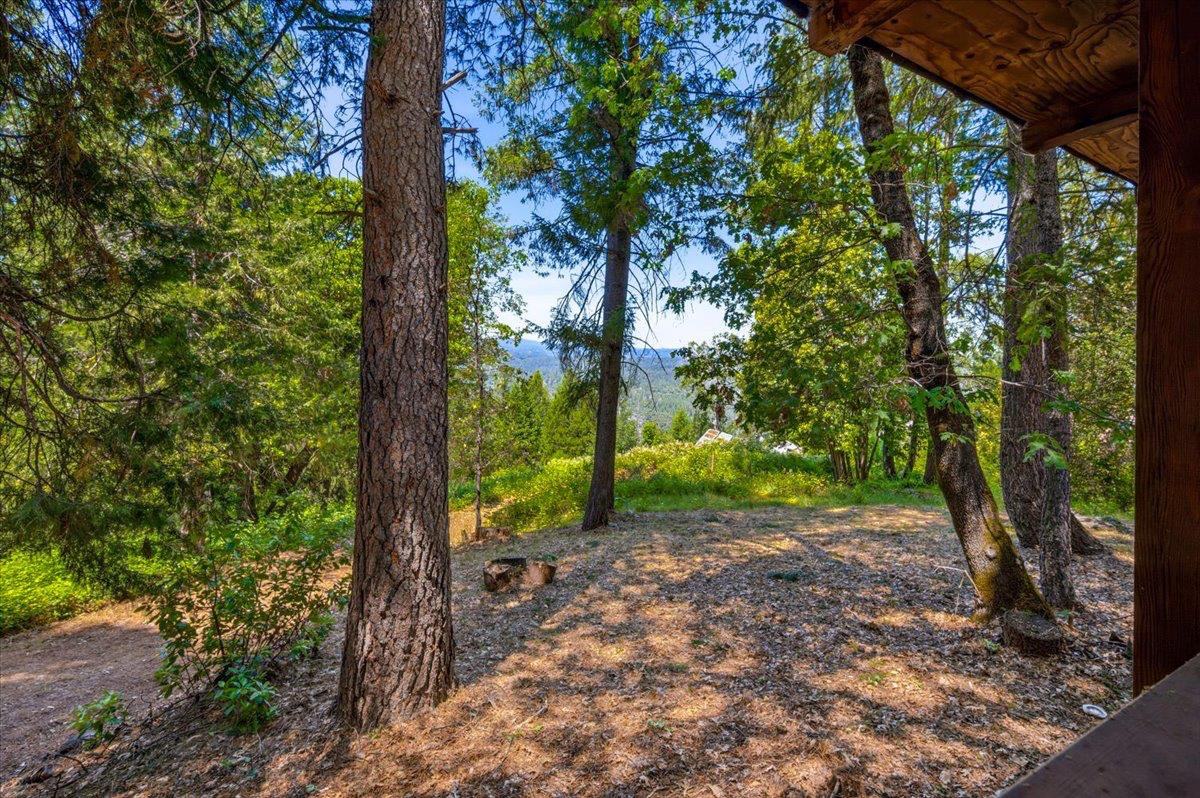19643 Sages Road Nevada City, CA 95959 - Photo 5 of 39 a view of a forest with trees