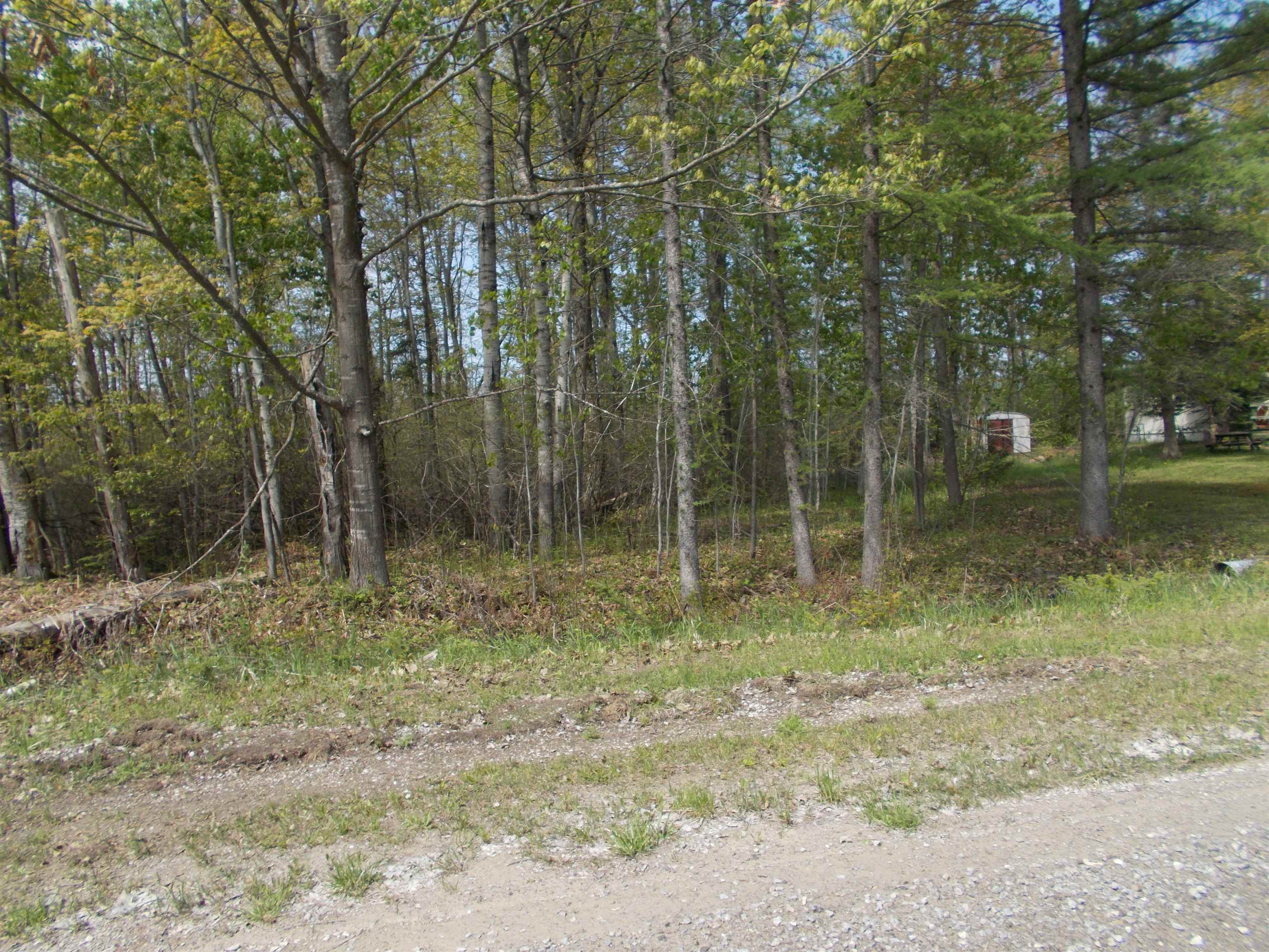 2995 Maple Road Hale, MI 48739 - Photo 6 of 19