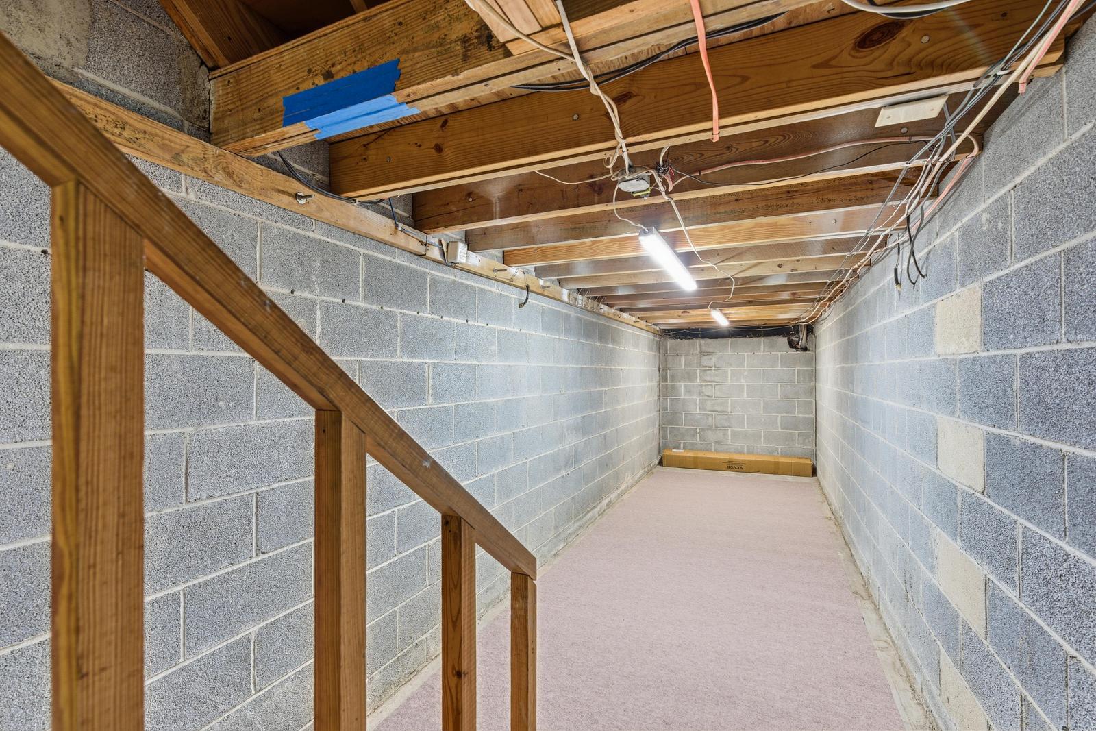 38 Elliott Street Charleston, SC 29401 - Photo 30 of 37 Dry basement - Potential wine cellar