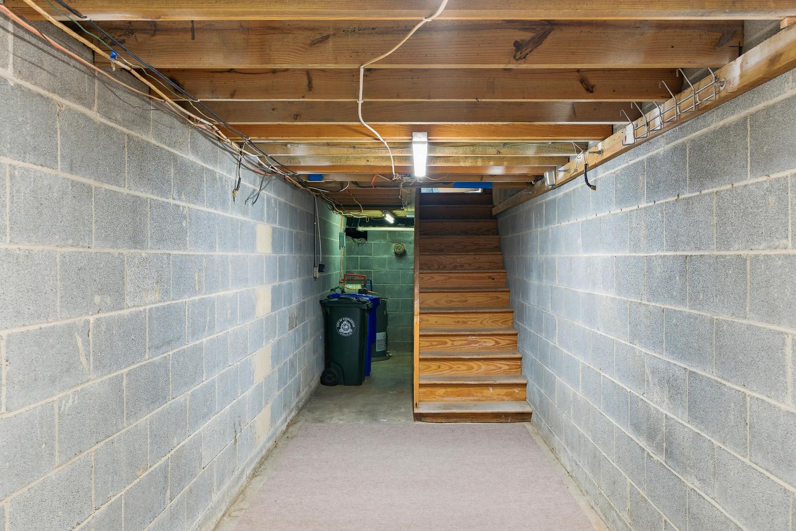 38 Elliott Street Charleston, SC 29401 - Photo 31 of 37 Dry basement - Potential wine cellar