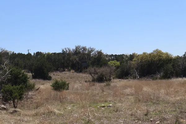 a view of a dry yard with trees