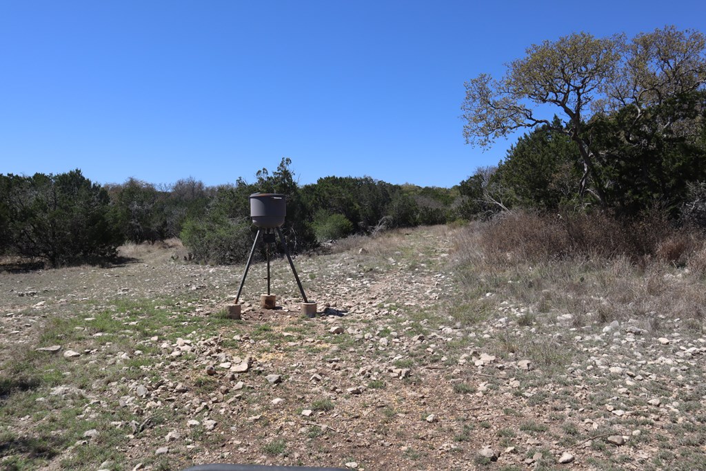 462 Schenk Witkowski Road Rocksprings, TX 78880 - Photo 21 of 51