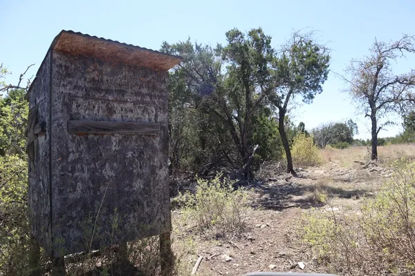 a view of a lake with a tree in the background