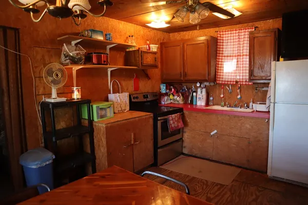 a view of a dry yard with trees in the background