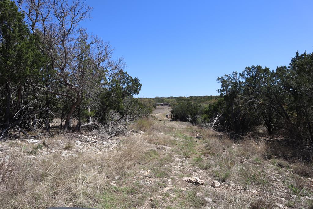 462 Schenk Witkowski Road Rocksprings, TX 78880 - Photo 27 of 51