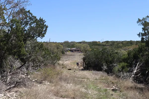 a view of a dry yard with trees