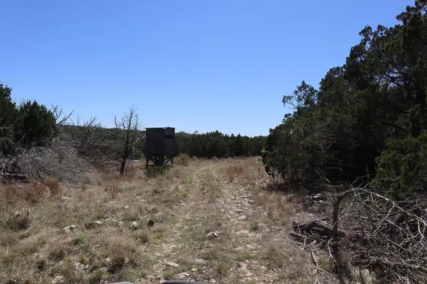 a view of a dry yard with trees in the background