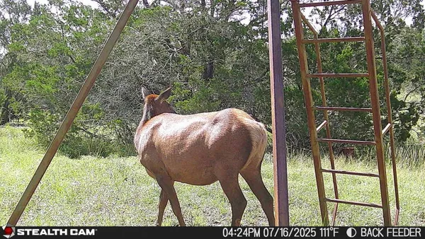 a view of a yard from a balcony