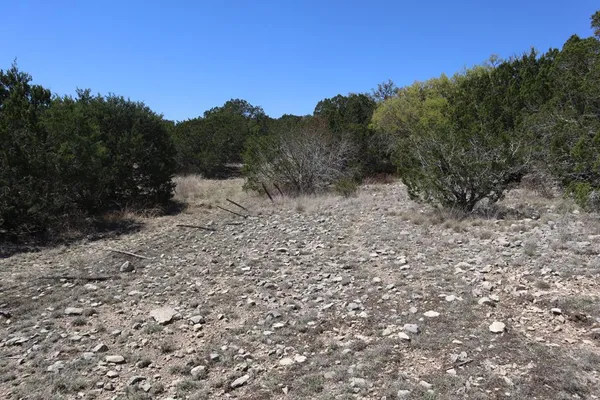 a view of a dry yard