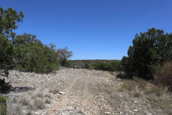 a view of a dirt road with trees