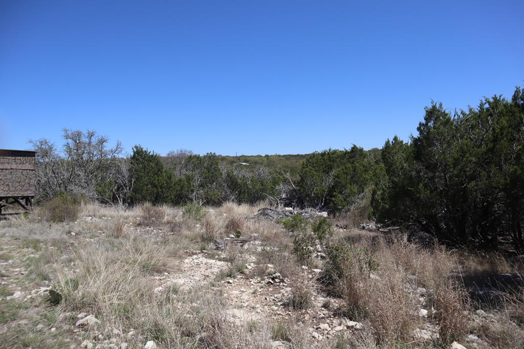 462 Schenk Witkowski Road Rocksprings, TX 78880 - Photo 36 of 51