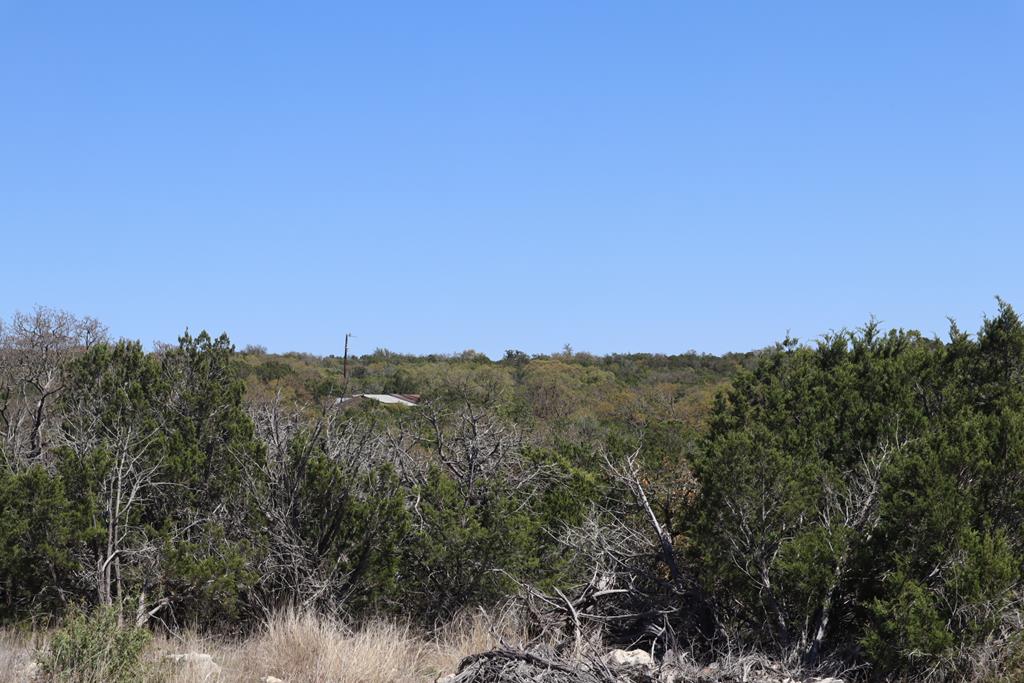 462 Schenk Witkowski Road Rocksprings, TX 78880 - Photo 37 of 51