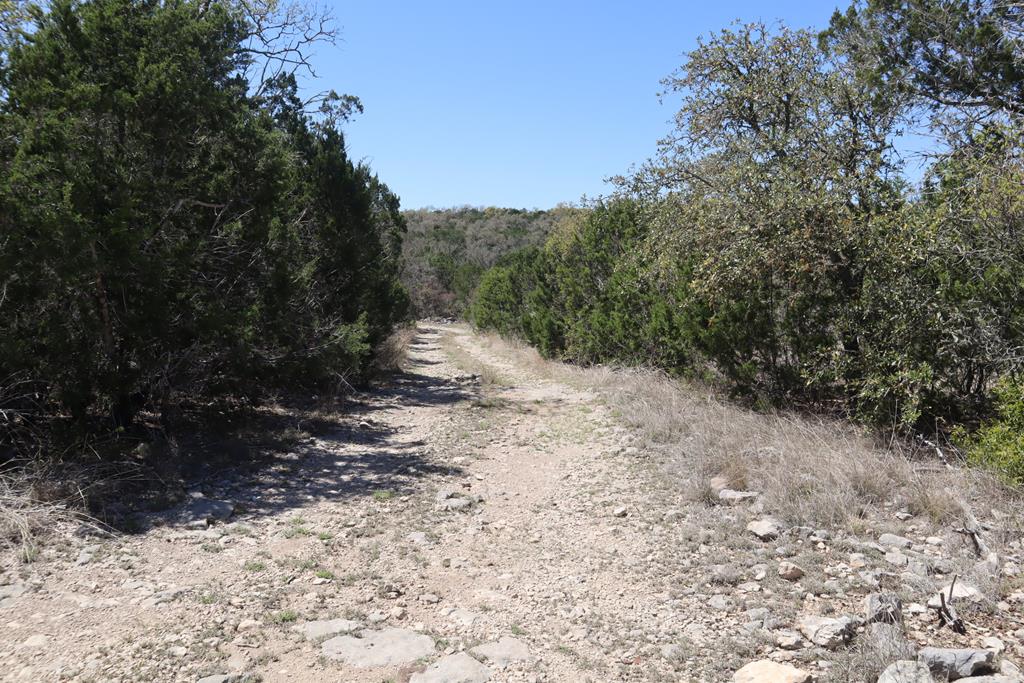 462 Schenk Witkowski Road Rocksprings, TX 78880 - Photo 38 of 51