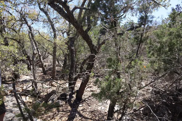 a view of a swimming pool