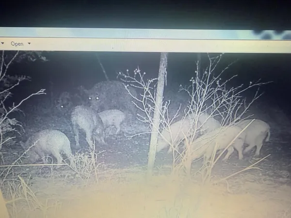 a view of a backyard of a house