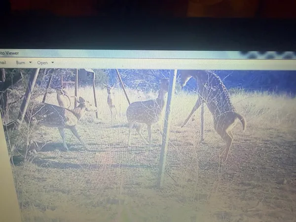 $249,900 | 462 Schenk Witkowski Road, Rocksprings, TX 78880