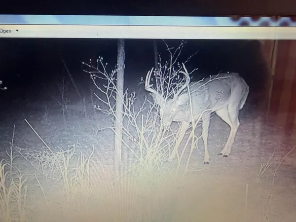 $249,900 | 462 Schenk Witkowski Road, Rocksprings, TX 78880