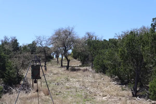 a view of outdoor space with trees