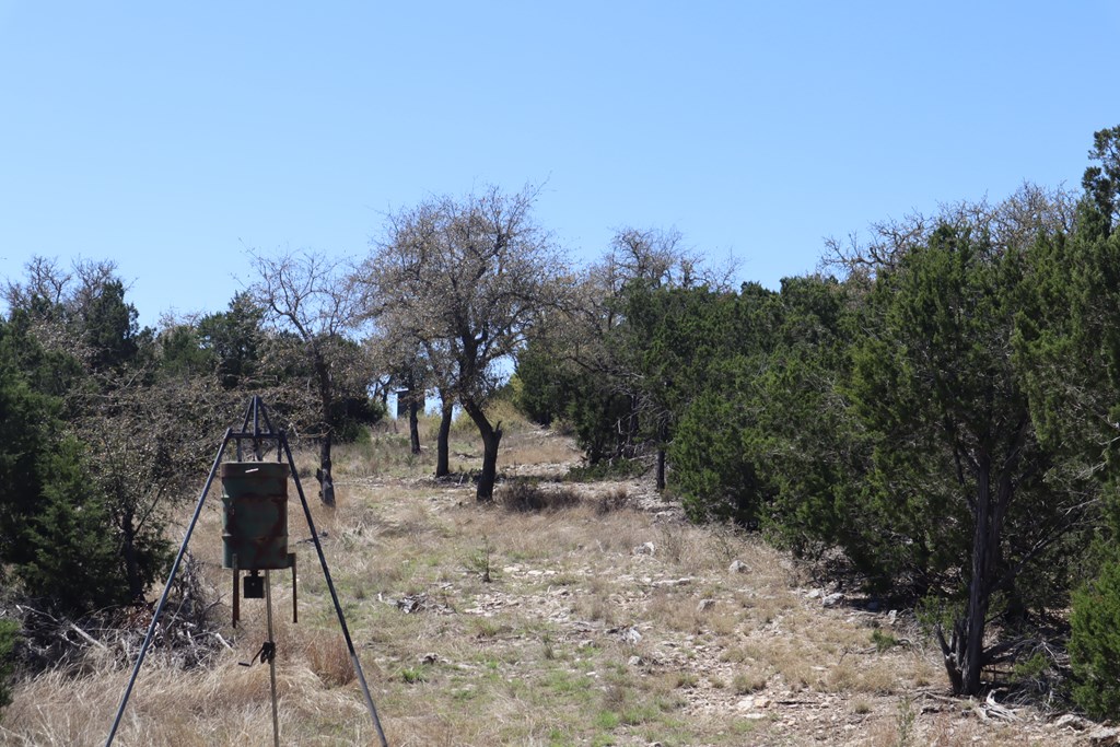 462 Schenk Witkowski Road Rocksprings, TX 78880 - Photo 8 of 51