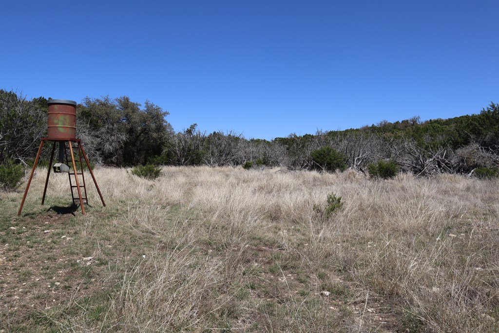 462 Schenk Witkowski Road Rocksprings, TX 78880 - Photo 9 of 51