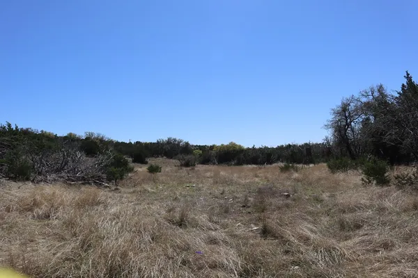 a view of a dry field with trees in the background