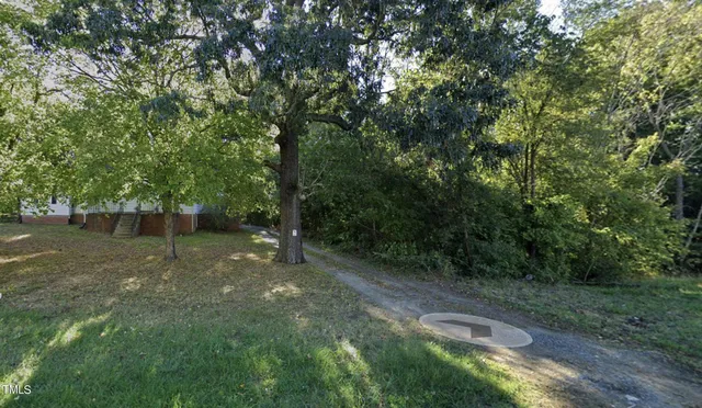 a view of backyard with green space
