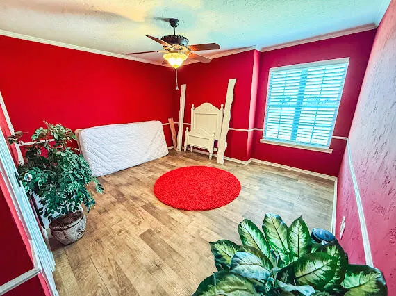 a living room with furniture and a rug