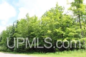 469 North Carlshend Road Skandia, MI 49885 - Photo 3 of 18