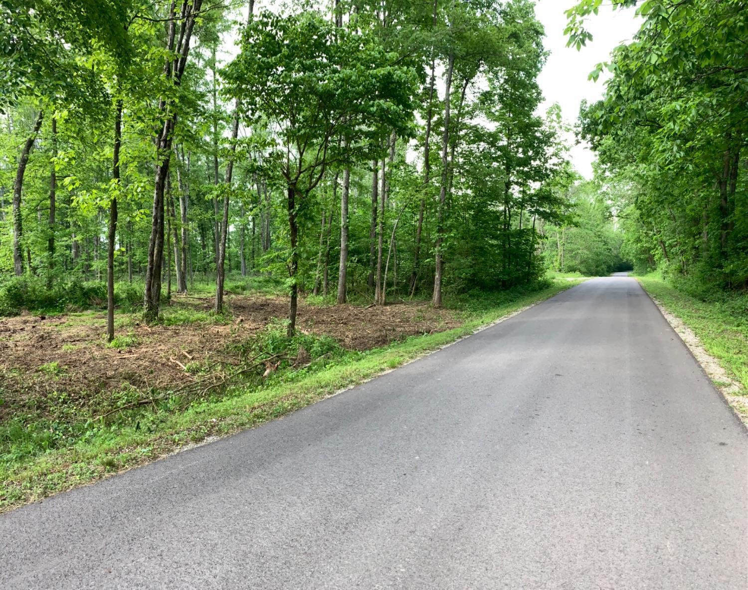 0 Biehm Road Sardinia, OH 45171 - Photo 1 of 1