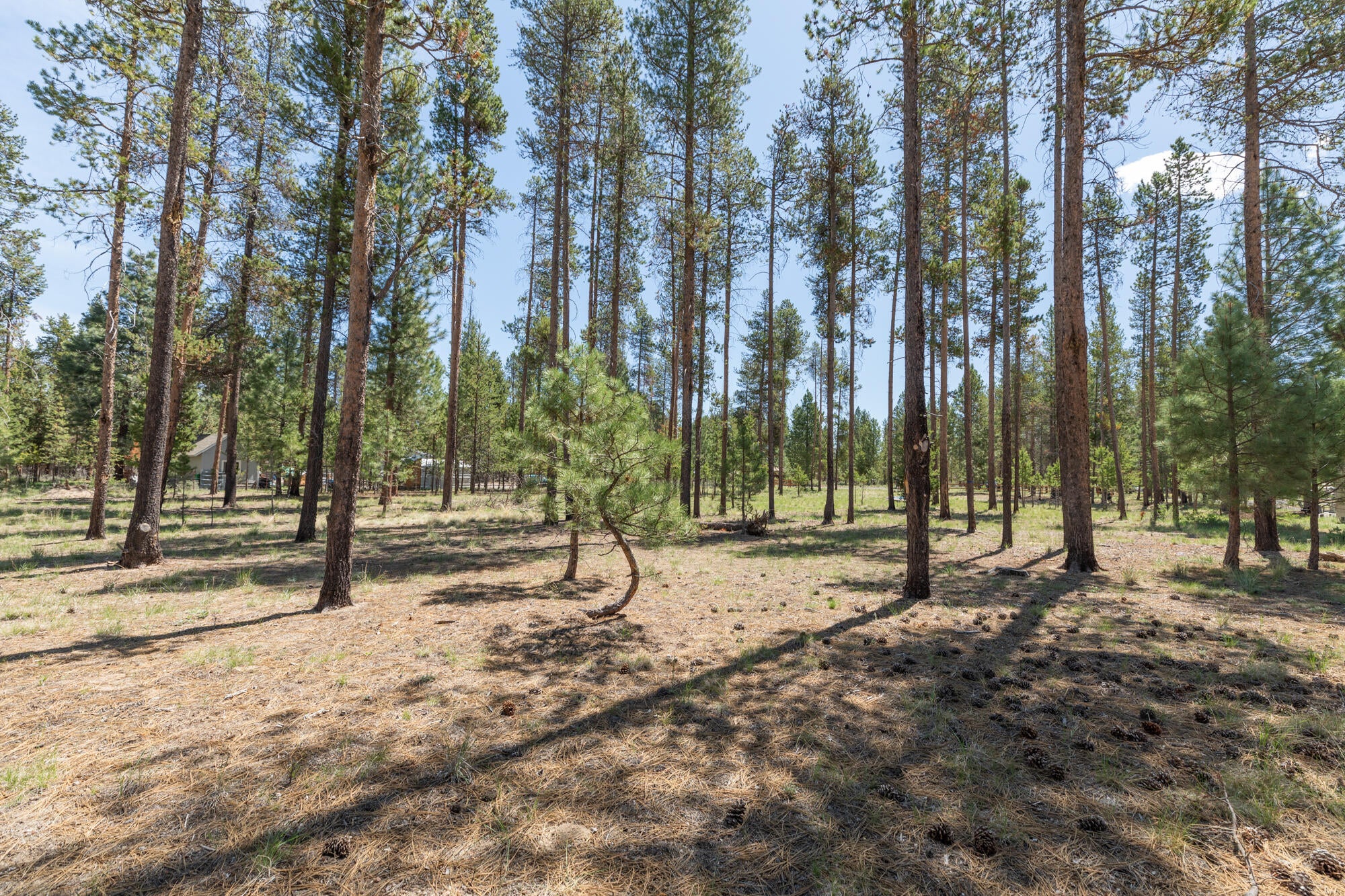 3200-lot Silver Spur Road La Pine, OR 97739 - Photo 11 of 16 3200 Lot Silver Spur Rd_ (11)
